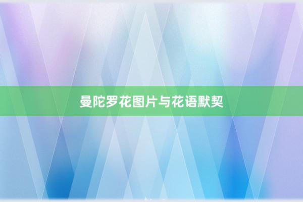 曼陀罗花图片与花语默契