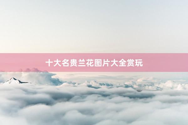 十大名贵兰花图片大全赏玩