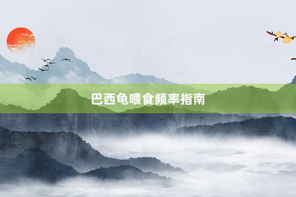 巴西龟喂食频率指南